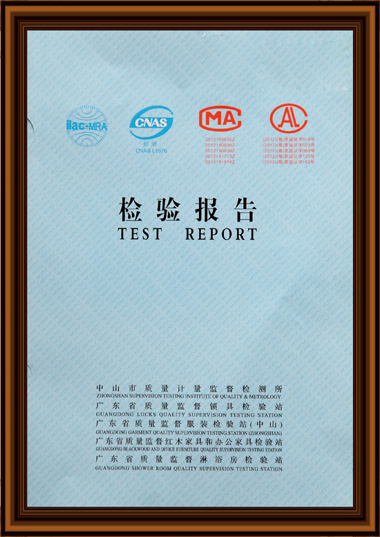 漆强检验报告