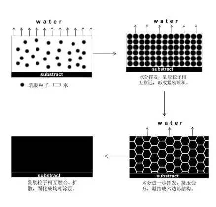 漆强水漆