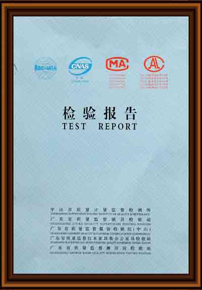 漆强检验报告